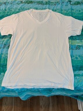 Men’s Gap White V-Neck T-Shirt
Large, never worn.